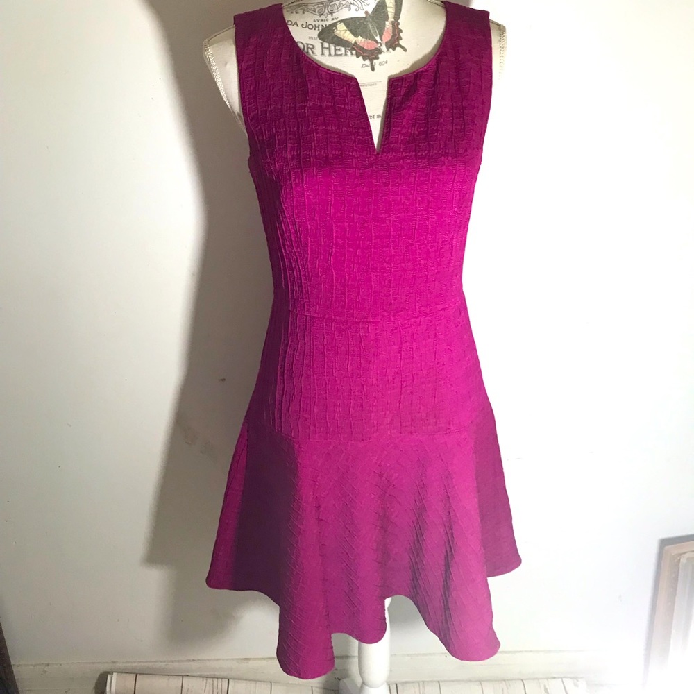 Ann Taylor lined raspberry skater dress size 4. Love!